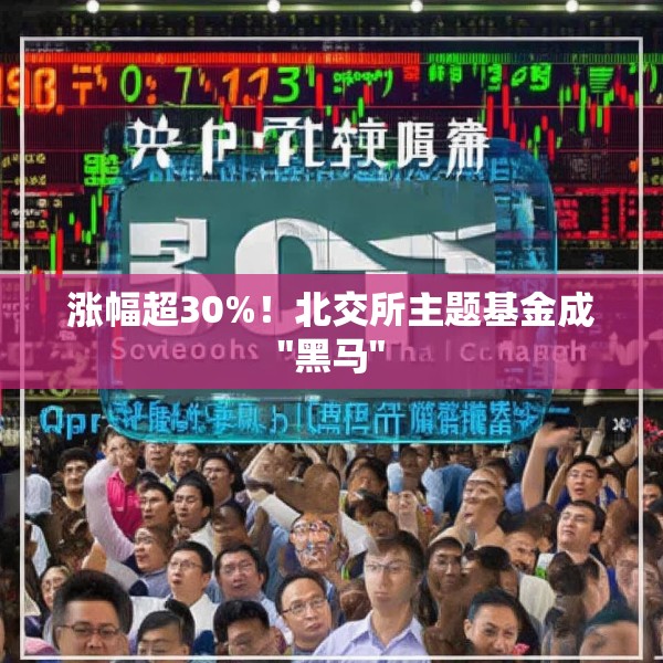 涨幅超30%！北交所主题基金成