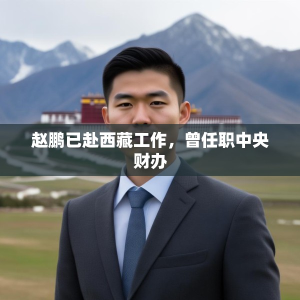 赵鹏已赴西藏工作，曾任职中央财办