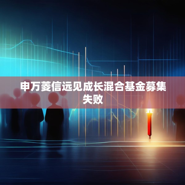 申万菱信远见成长混合基金募集失败