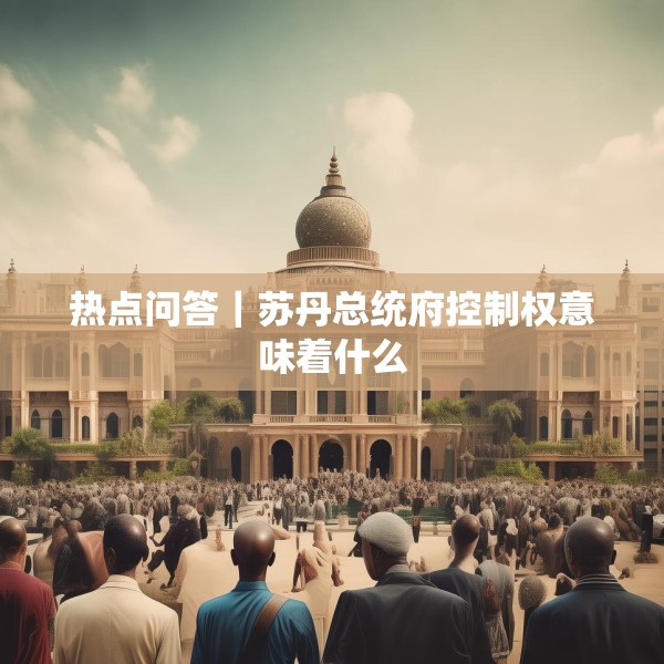 热点问答｜苏丹总统府控制权意味着什么