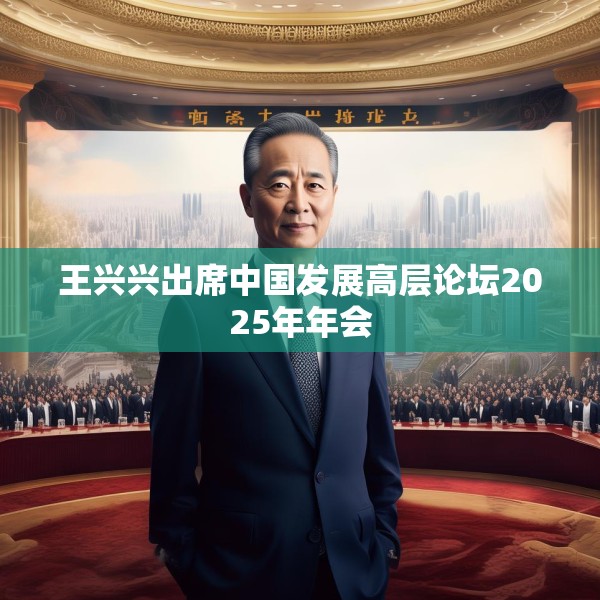 王兴兴出席中国发展高层论坛2025年年会