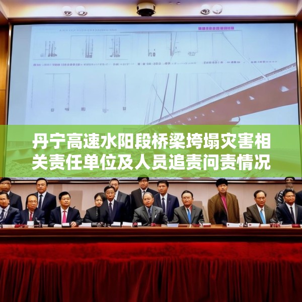 丹宁高速水阳段桥梁垮塌灾害相关责任单位及人员追责问责情况通报