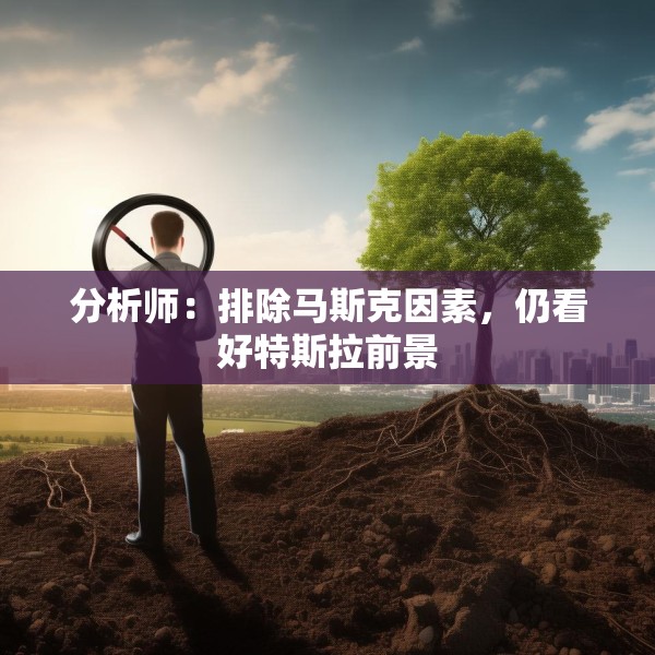 分析师：排除马斯克因素，仍看好特斯拉前景