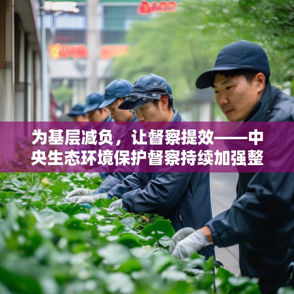 为基层减负，让督察提效——中央生态环境保护督察持续加强整治形式主义成效综述