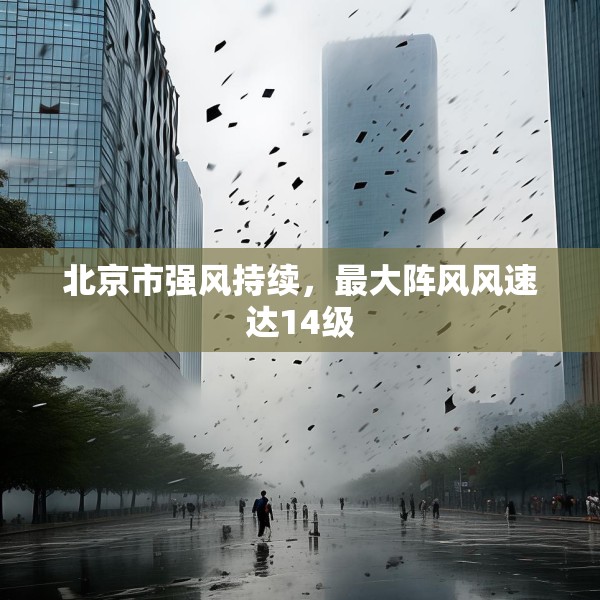 北京市强风持续，最大阵风风速达14级