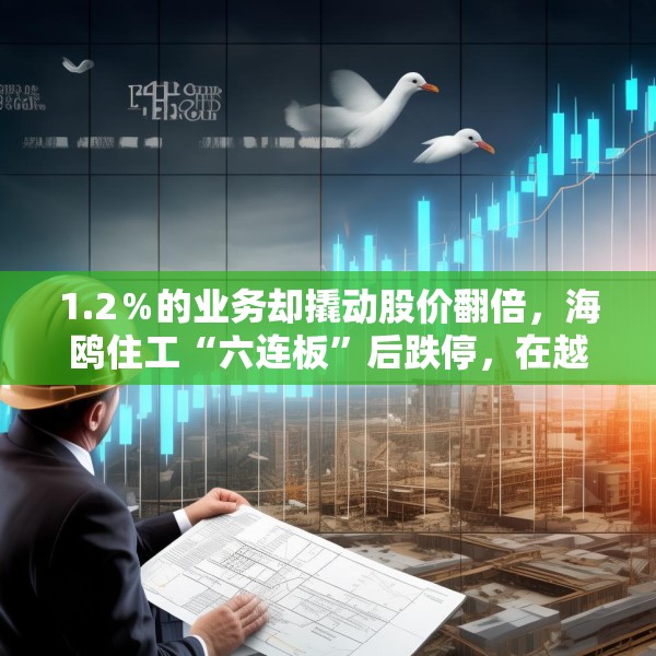 1.2％的业务却撬动股价翻倍，海鸥住工“六连板”后跌停，在越建厂能否扛住关税冲击？