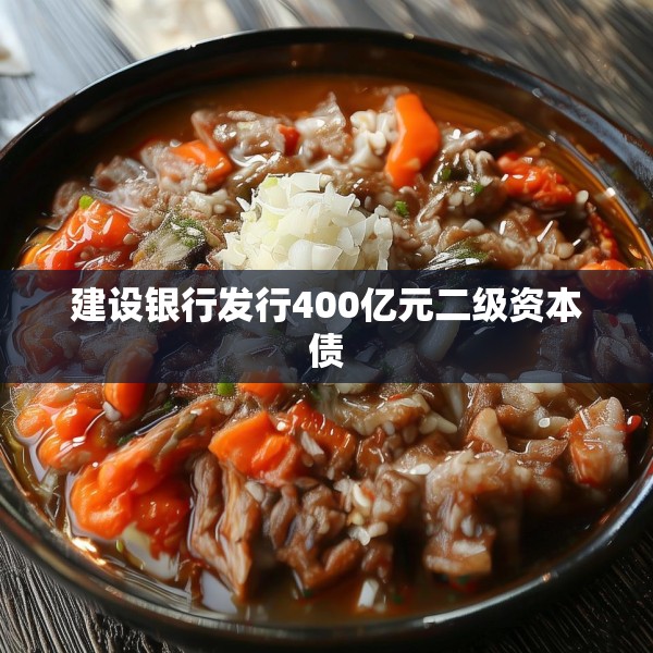 建设银行发行400亿元二级资本债