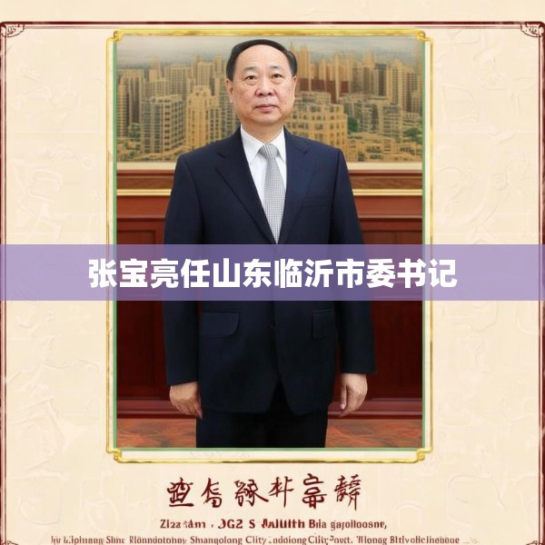 张宝亮任山东临沂市委书记