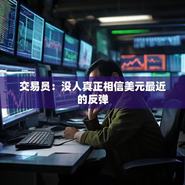 交易员：没人真正相信美元最近的反弹