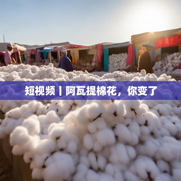 短视频丨阿瓦提棉花，你变了
