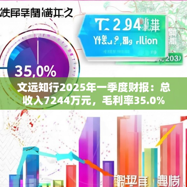 文远知行2025年一季度财报：总收入7244万元，毛利率35.0%