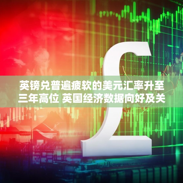 英镑兑普遍疲软的美元汇率升至三年高位 英国经济数据向好及关税优势提振汇率