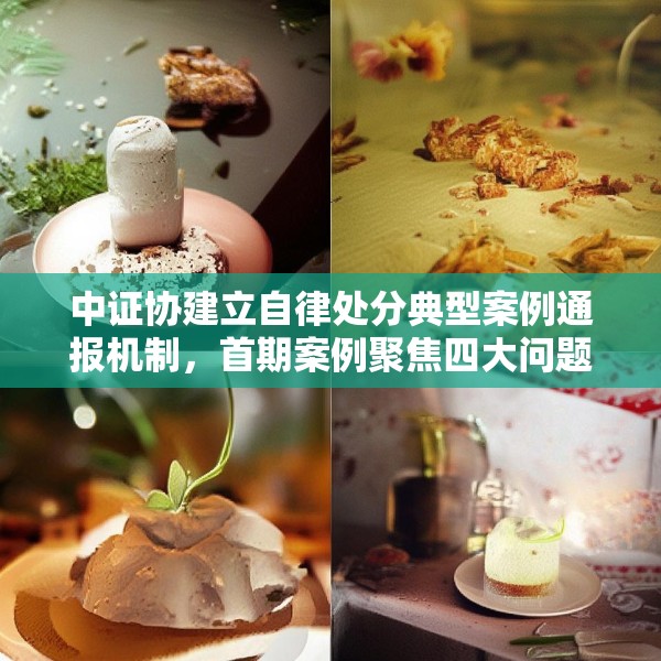 中证协建立自律处分典型案例通报机制，首期案例聚焦四大问题