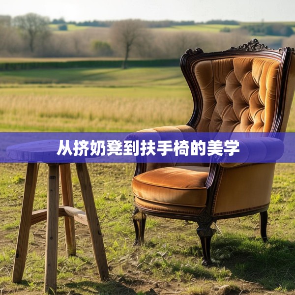 从挤奶凳到扶手椅的美学