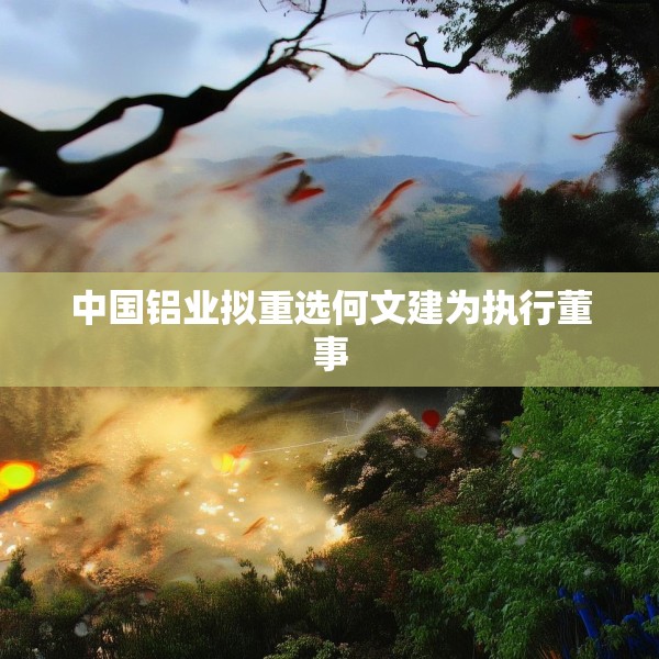 中国铝业拟重选何文建为执行董事