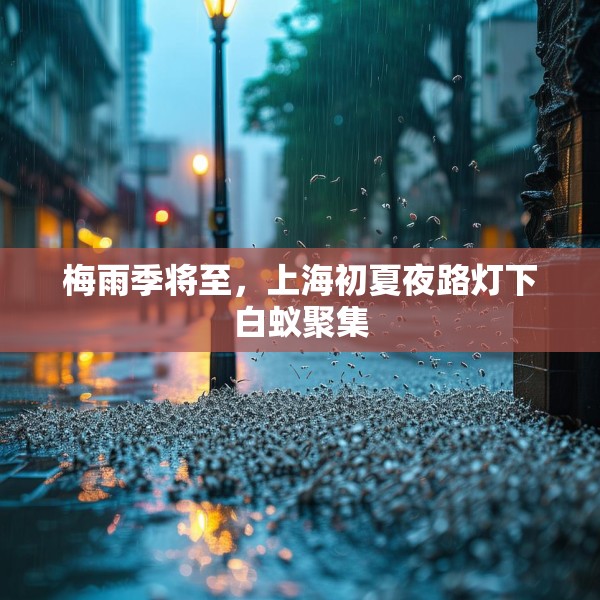 梅雨季将至，上海初夏夜路灯下白蚁聚集