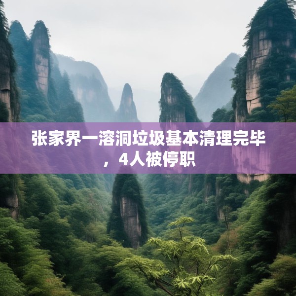 张家界一溶洞垃圾基本清理完毕，4人被停职