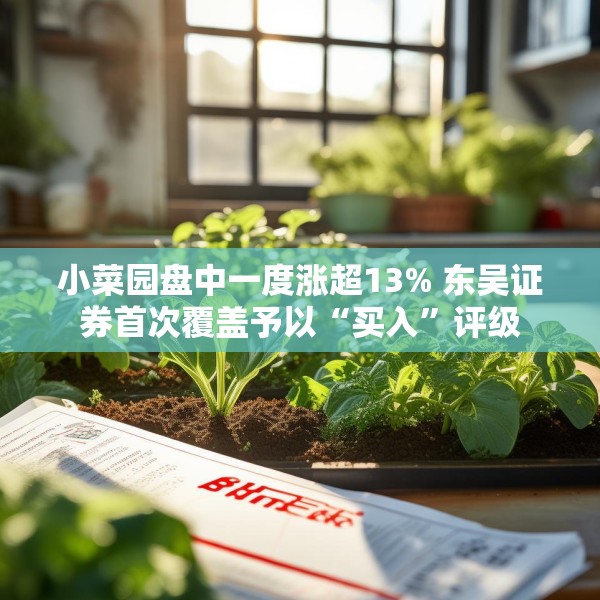小菜园盘中一度涨超13% 东吴证券首次覆盖予以“买入”评级