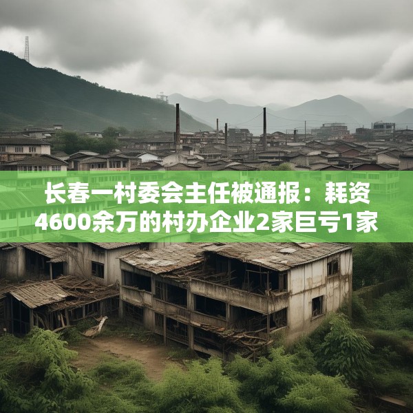 长春一村委会主任被通报：耗资4600余万的村办企业2家巨亏1家倒闭