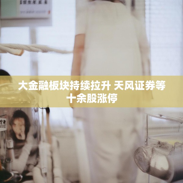 大金融板块持续拉升 天风证券等十余股涨停