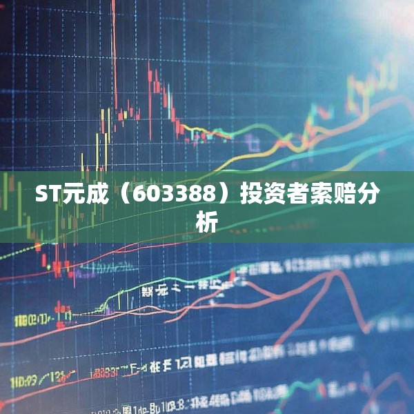 ST元成（603388）投资者索赔分析