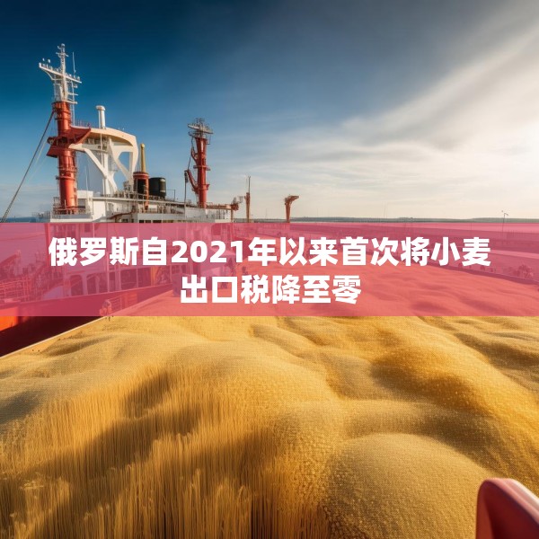 俄罗斯自2021年以来首次将小麦出口税降至零