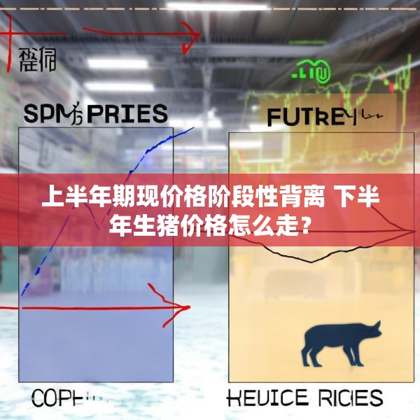 上半年期现价格阶段性背离 下半年生猪价格怎么走？