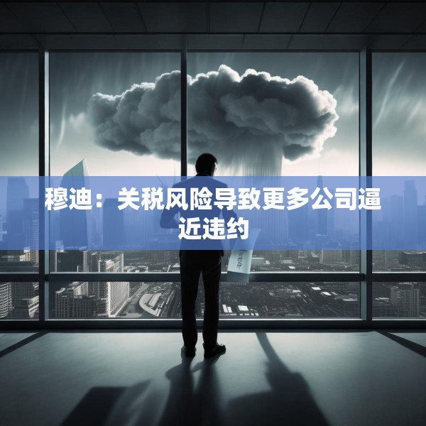 穆迪：关税风险导致更多公司逼近违约