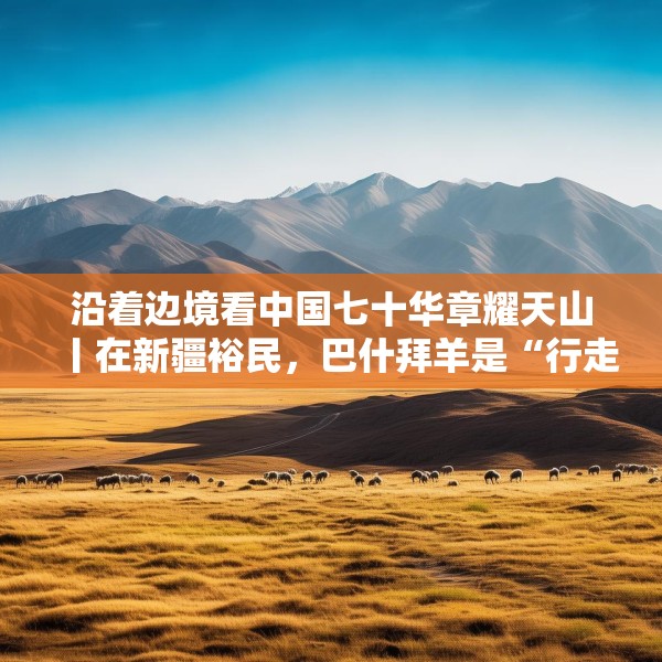沿着边境看中国七十华章耀天山丨在新疆裕民，巴什拜羊是“行走的名片”